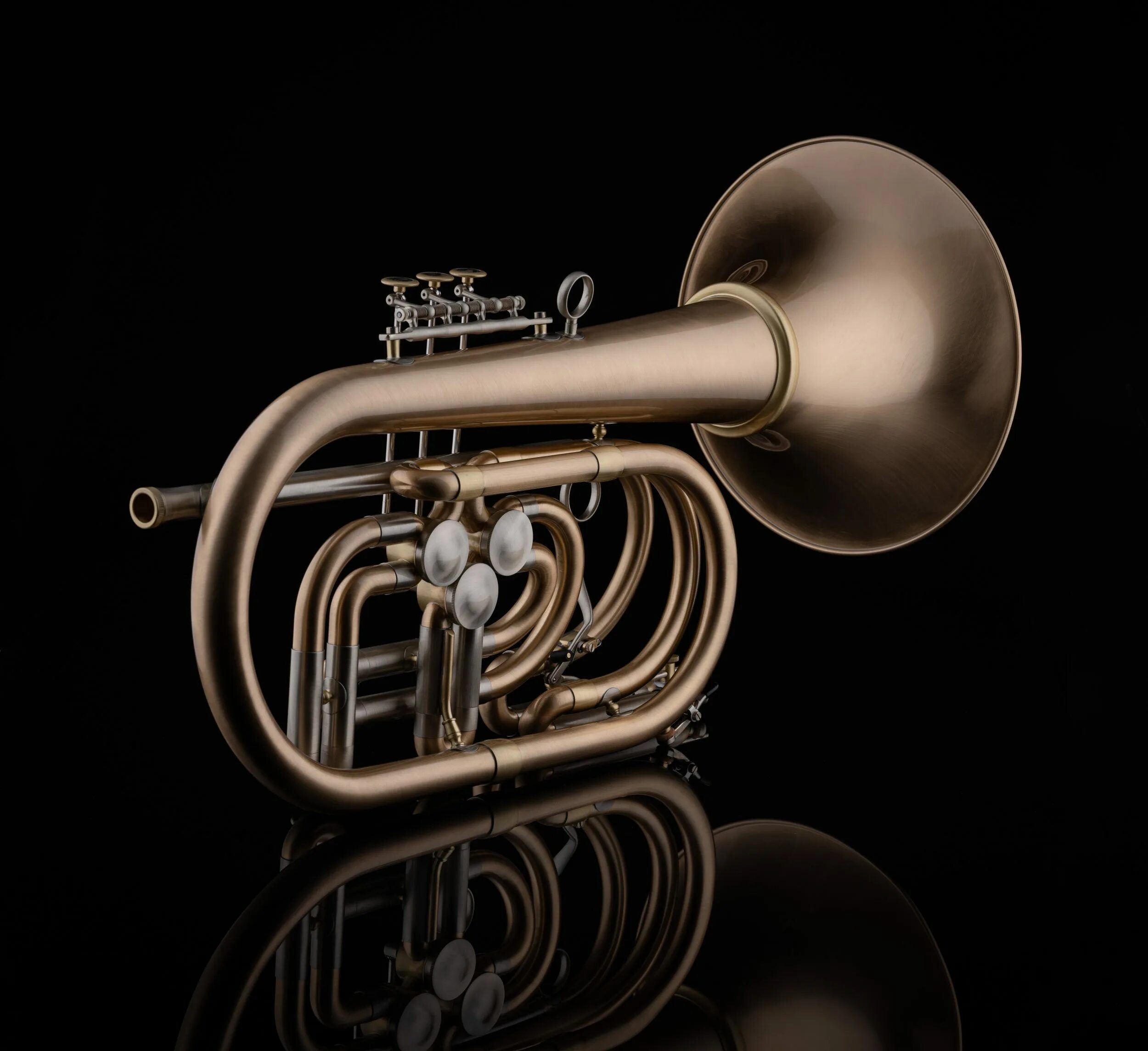 Бас труба звук. Schagerl Trumpet. Труба бас б1. Бас труба музыкальный инструмент. Музыкальный инструмент труба бас большая.