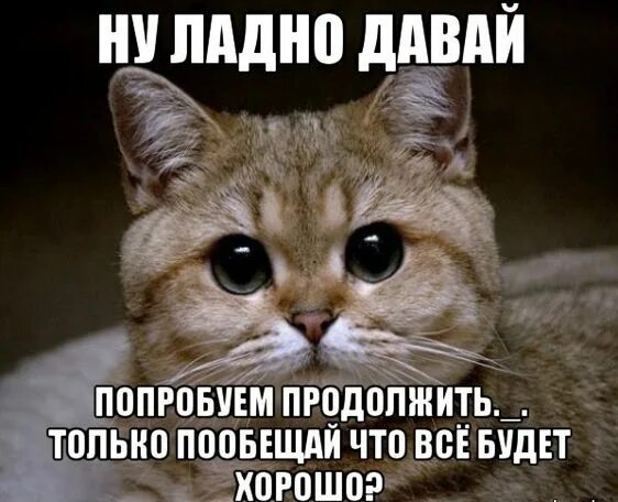 Ладно находится. Ладно находится