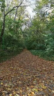 Деревня красная роща