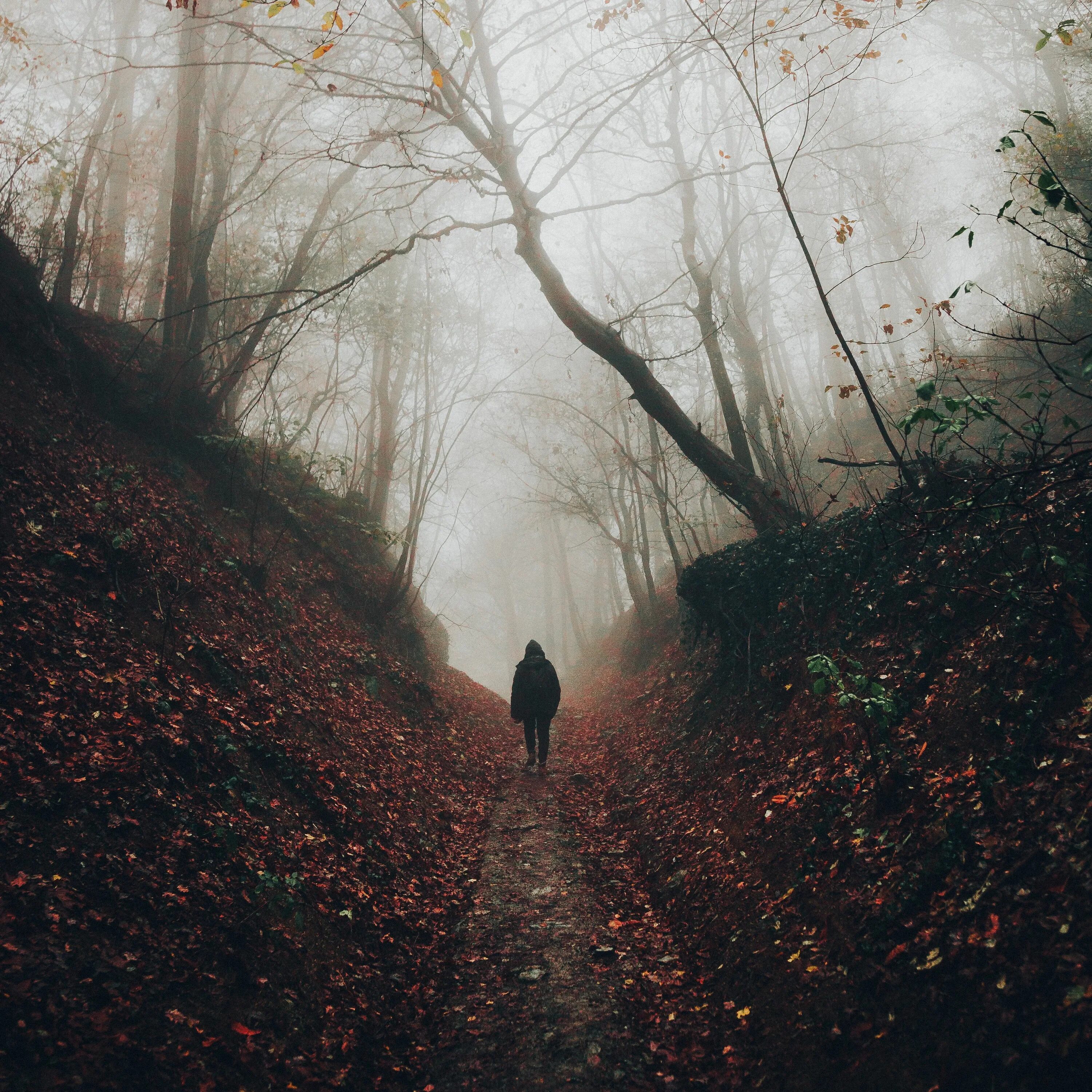 Загадочный конец. Девушка в тумане. Туман одиночество. Одинокий лес. Осень одиночество.