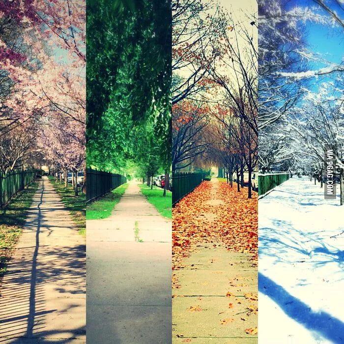 Лето осень. 4 seasons of the year