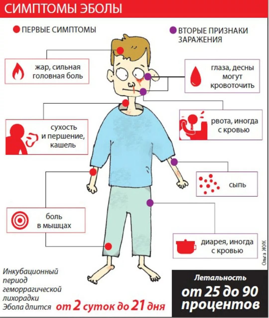 Лихорадка через день. Признаки заражения крови у человека. лихорадка эбола симптомы. признак инфицированной крови.