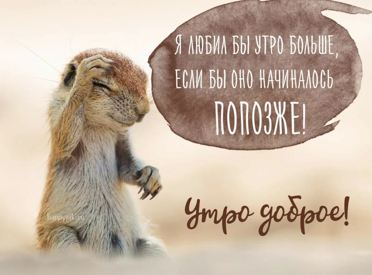 С добрым утром позитивные с животными. С добрым утром прикольные. доброе утро картинки прикольные. забавные картинки с добрым утром. с добрым утром прикольные смешные.