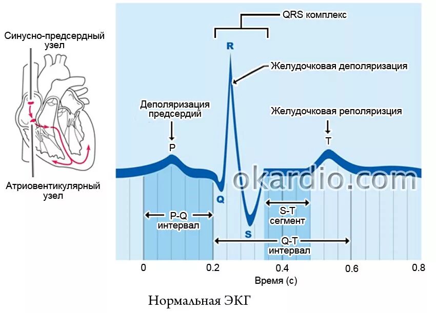 Умеренные изменения реполяризации