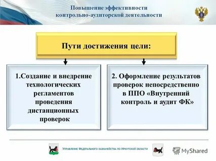 Казначейство аудит