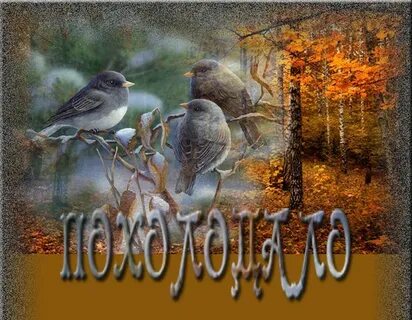 Доброе утро октября похолодало