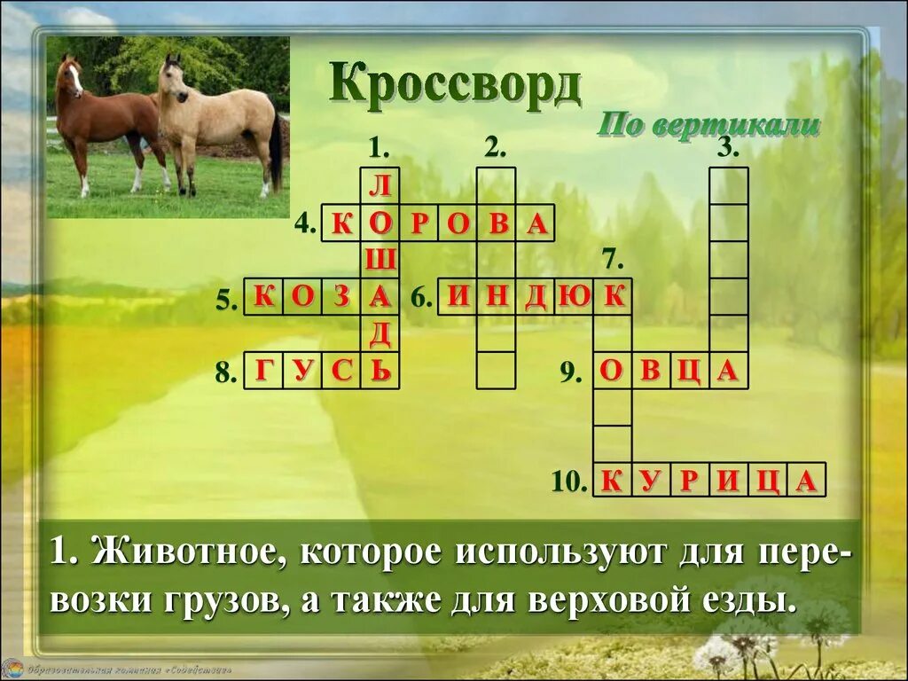 Кроссворд про зверей. Красворл домашнее животные. Кроссворд про животных. Кроссворд на тему животные. Кроссворд на тему домашних животных.