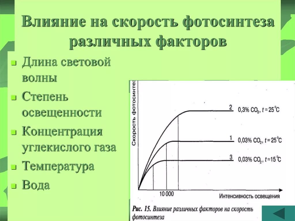 Влияние какого условия на процесс фотосинтеза. Факторы влияющие на скорость фотосинтеза. Факторы влияющие на фотосинтез. Что влияет на скорость фотосинтеза. Зависимость фотосинтеза от факторов внешней среды.