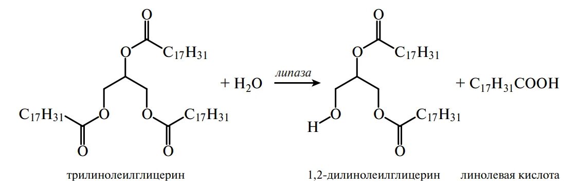 Гидролиз жиров ферменты. Липаза фермент формула. Липаза химическая формула. Химическая формула ферментов липазы. Липаза строение фермента.