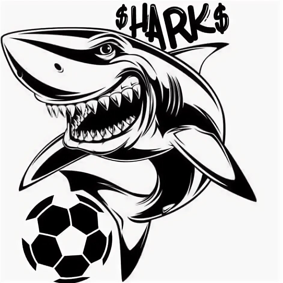 Раскрутка сайта team shark. Футбольная команда Shark. Акула футбольный клуб. Команда акулы. Шаркс (футбольный клуб, порт-Харкорт).