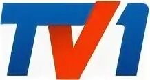 Tv-101. Пряма мова 5 канал. 1 канал логотип. Тв караганда. 5 канал караганда.