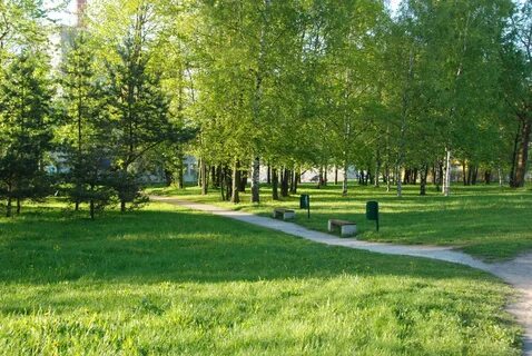 Сколькими парк