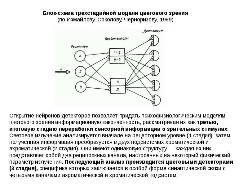 Цветовое зрение физиология. Блок схема зрительной сенсорной системы. сферическая модель цветового зрения. модель «цветовое зрение». цветовые схемы для зрения.