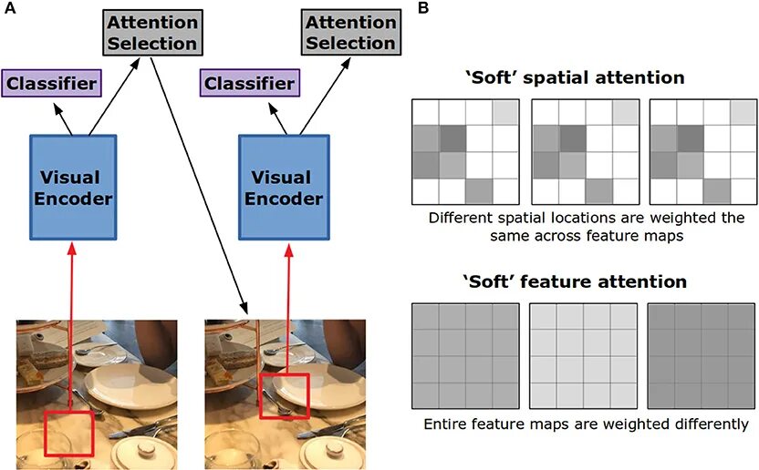 Hard attention. Visual attention. Arbitrary примеры. Юзер эттеншен Фалед. Виды attention Machine Learning.