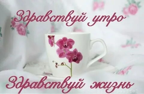 И снова добрый день