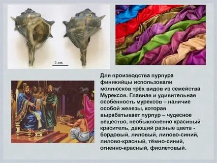 Пурпур в древнем египте