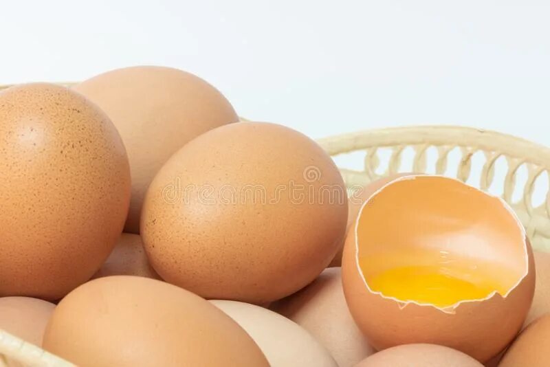 Сколько цыпленок в яйце. Как лежит цыпленок в яйце. Как должно выглядеть яйцо с цыпленком при освещении.