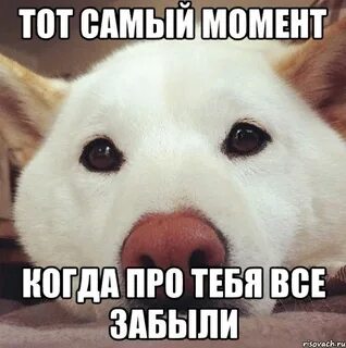 Я тебя не понимаю я тебя забыла