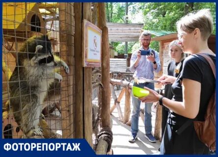 Зоопарк сказка самара