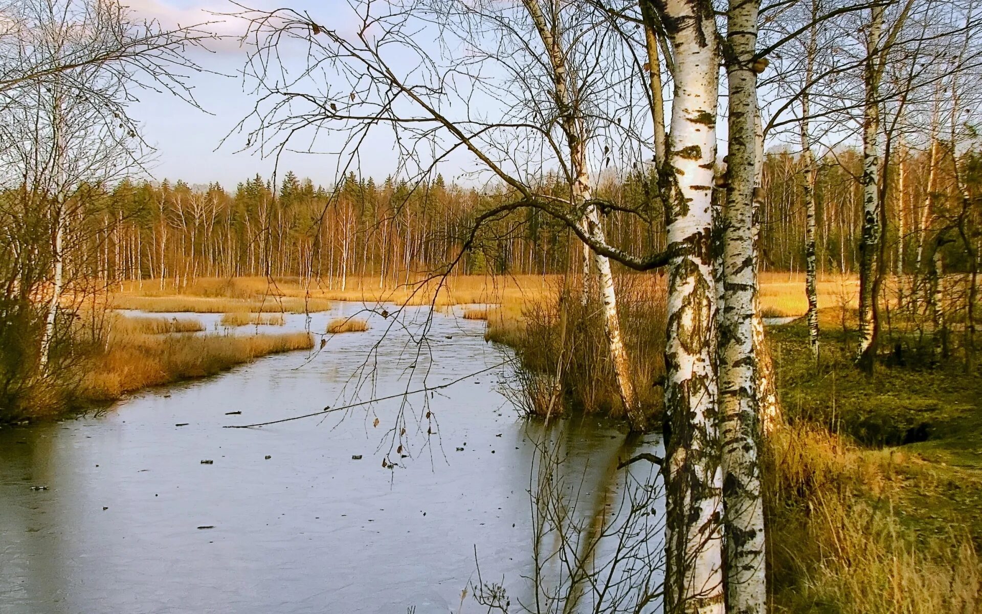 Весенний пейзаж. Апрель фото на рабочий стол