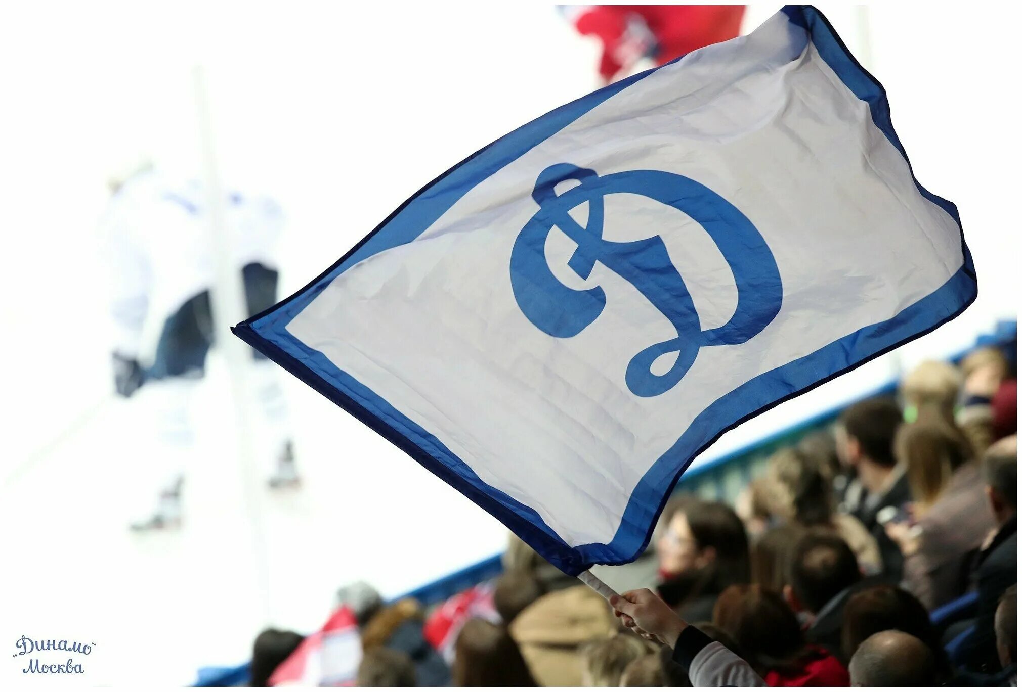 динамо москва 2015. большой динамо. фк динамо москва матчи. большой динамо. фк динамо москва 2021 команда.