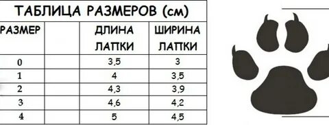 Как определить размер обуви для собаки