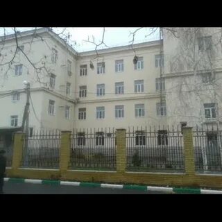 Гимназия 54