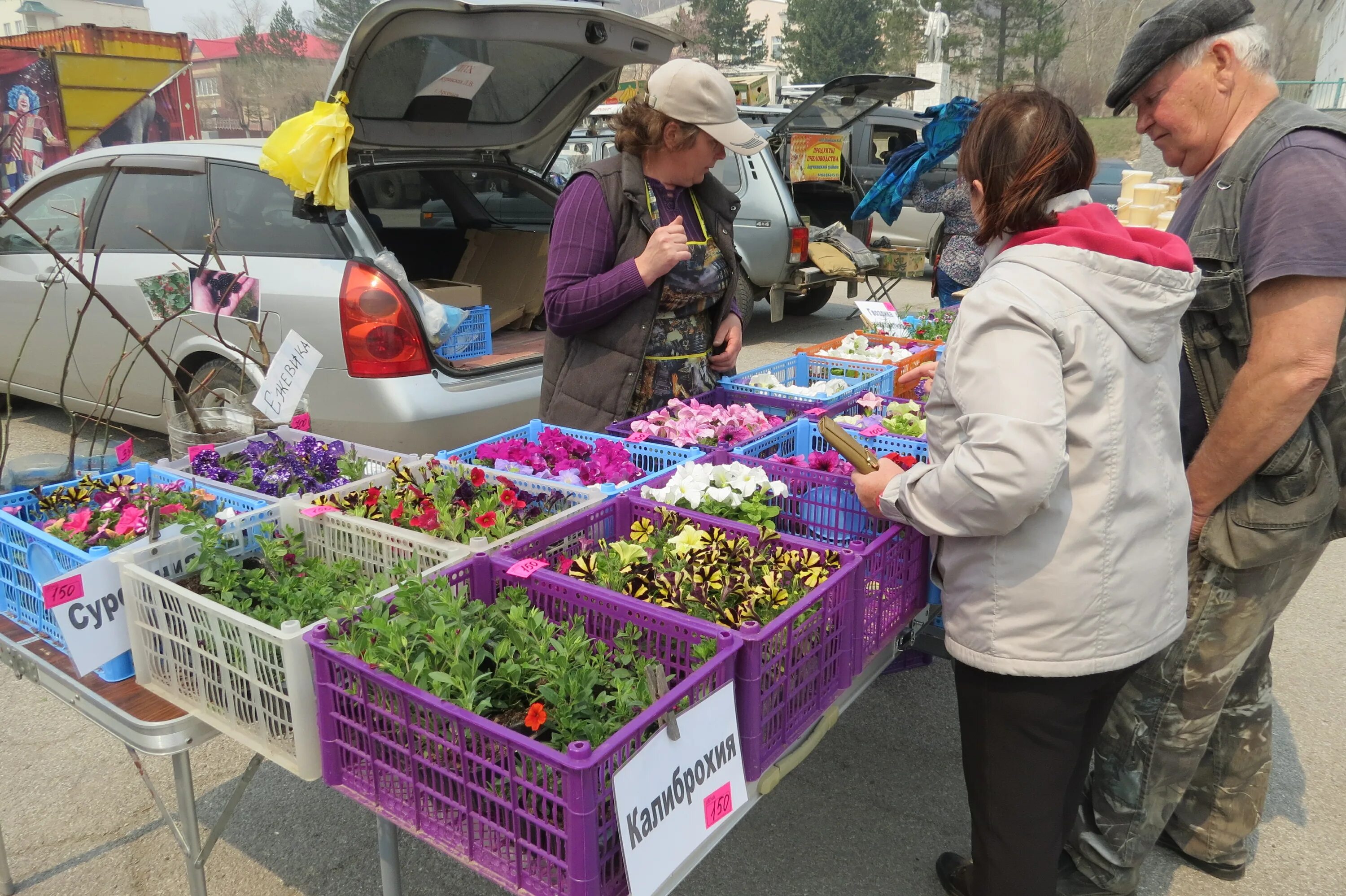 Талицкий чамлык добринский район липецкой области. Село талицкий чамлык добринского района липецкой области. Ярмарка 12. Ярмарка 12. Бабушки на базаре.