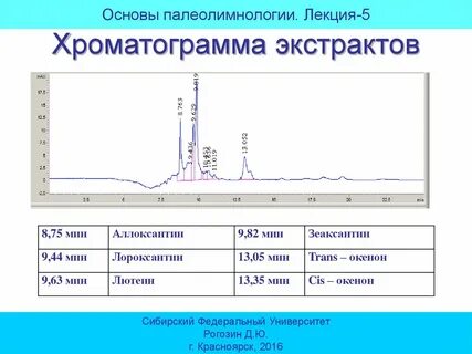 Хроматограмма