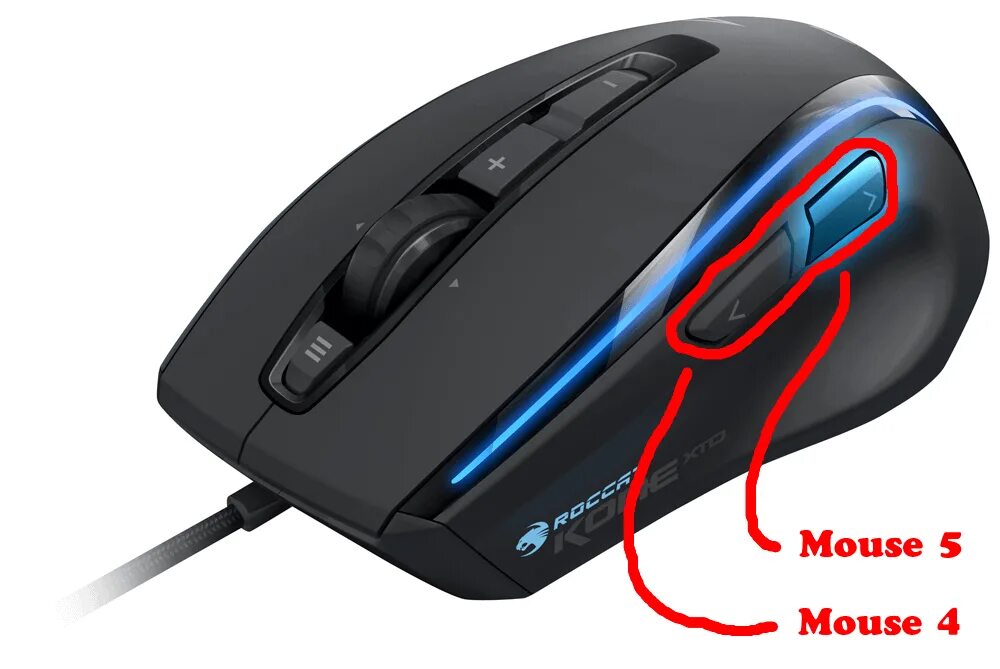 Sibm mouse