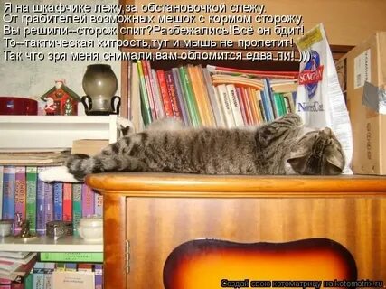 Лежит на шкафе до тысяча восемьсот