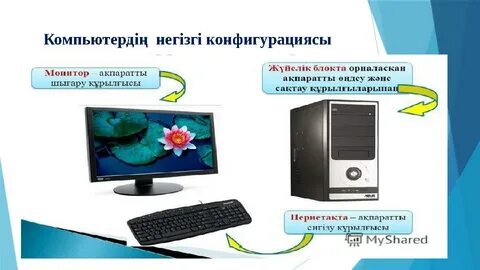 Балапандар трусиларына сидиді