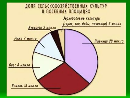 Посевные площади хозяйств