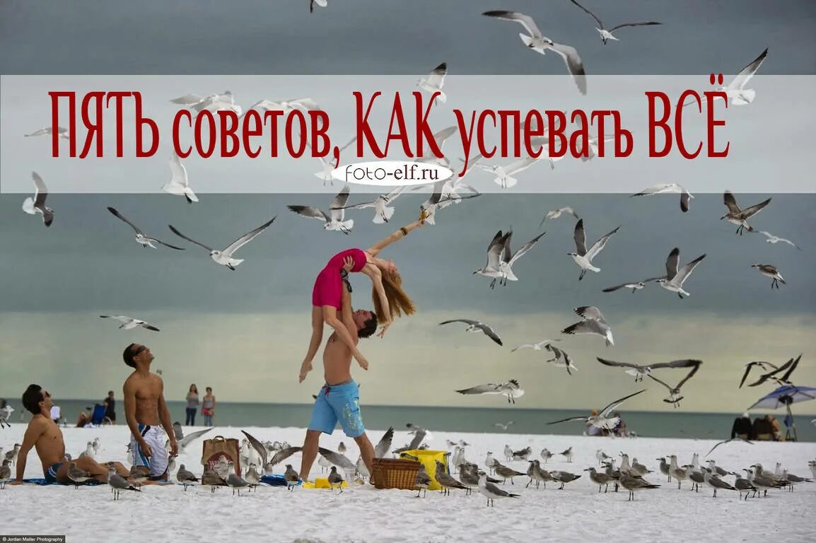 Как то успеть. Успеть всё. как всё успевать юмор. картинка надо успеть. как все успеть.