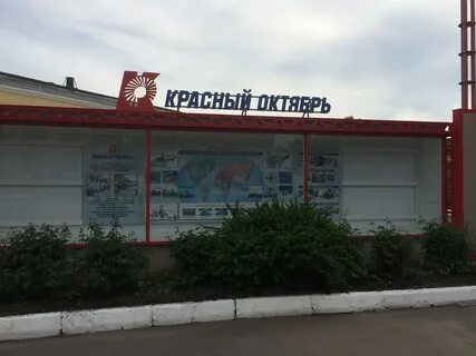Садоводство красный октябрь санкт петербург