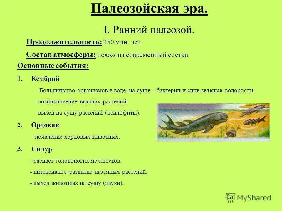 Основные организмы существовавшие на земле в палеозое. Длительность палеозойской эры. Основные события палеозойской эры таблица. Основные события раннего палеозоя. Этапы палеозойской эры таблица.