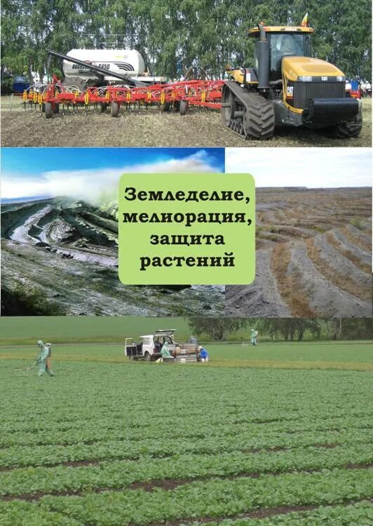 Технология полосовой обработки почвы strip-till. Почвозащитная система земледелия. Почвозащитная система земледелия. Технология посева ноу тилл. Богарные поля карасайского района.