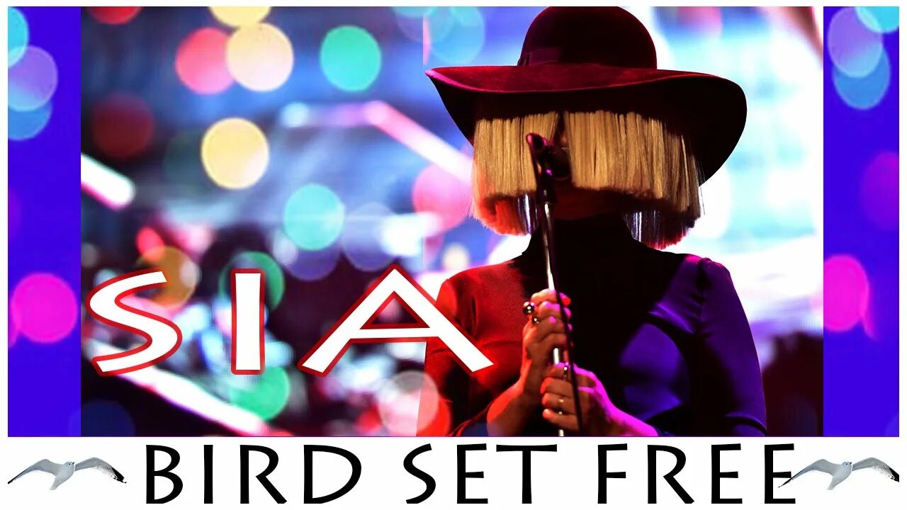 Sia bird