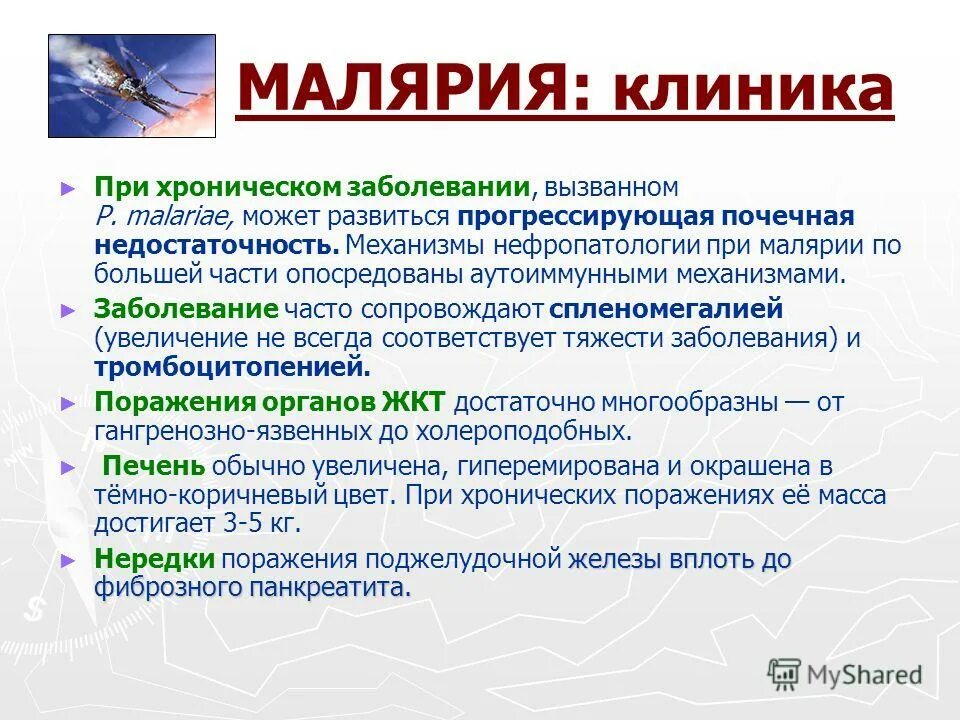 малярийный плазмодий иммунитет. малярия или болотная лихорадка. болотная лихорадка. малярийный плазмодий симптомы. малярийный плазмодий трансмиссивное.