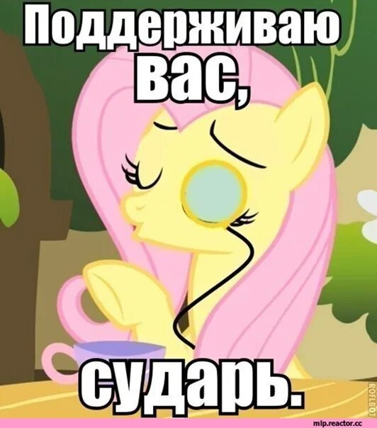 Пони мемы. Мем я пони а ты нет смирись. Пони мемы. На какую пони я похожа мем. Мем я пони а ты нет смирись.