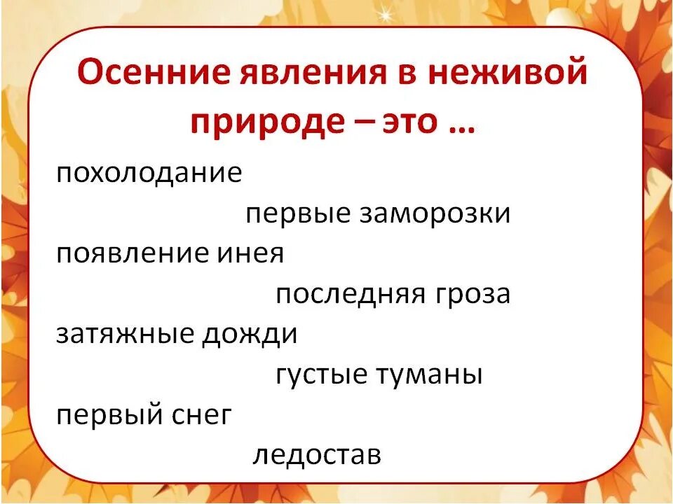 Осенние явления природы 2