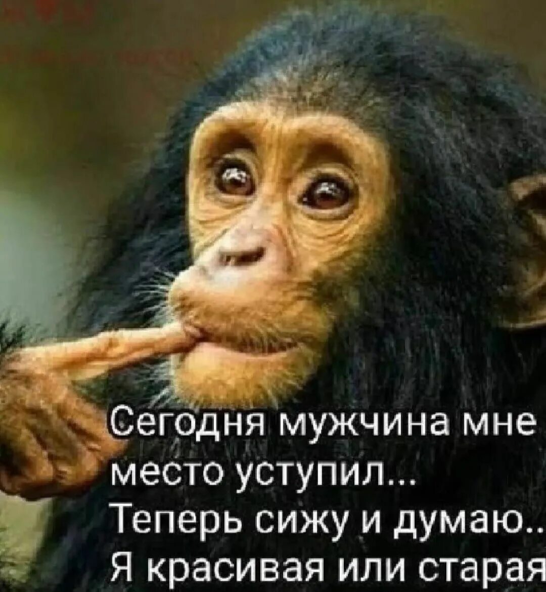 Сижу и думаю как тебя называть. Сегодня мужчина уступил мне место сижу и думаю я старая или красивая. это я сижу и думаю. вот сижу и думаю. сижу думаю юмор.