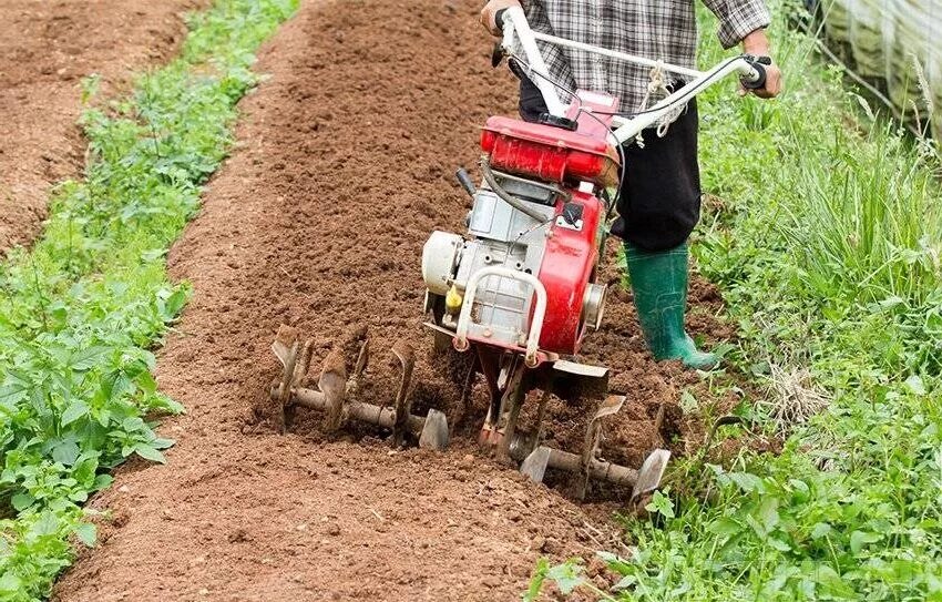 Вспашка мотоблоком мкр403. Пахота плугом мультимастер 180. Мотоблок на поле пашет. Мотоблок для вспашки земли. Вспашка огорода мотоблоком.