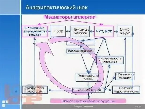 Анафилактический шок патогенез