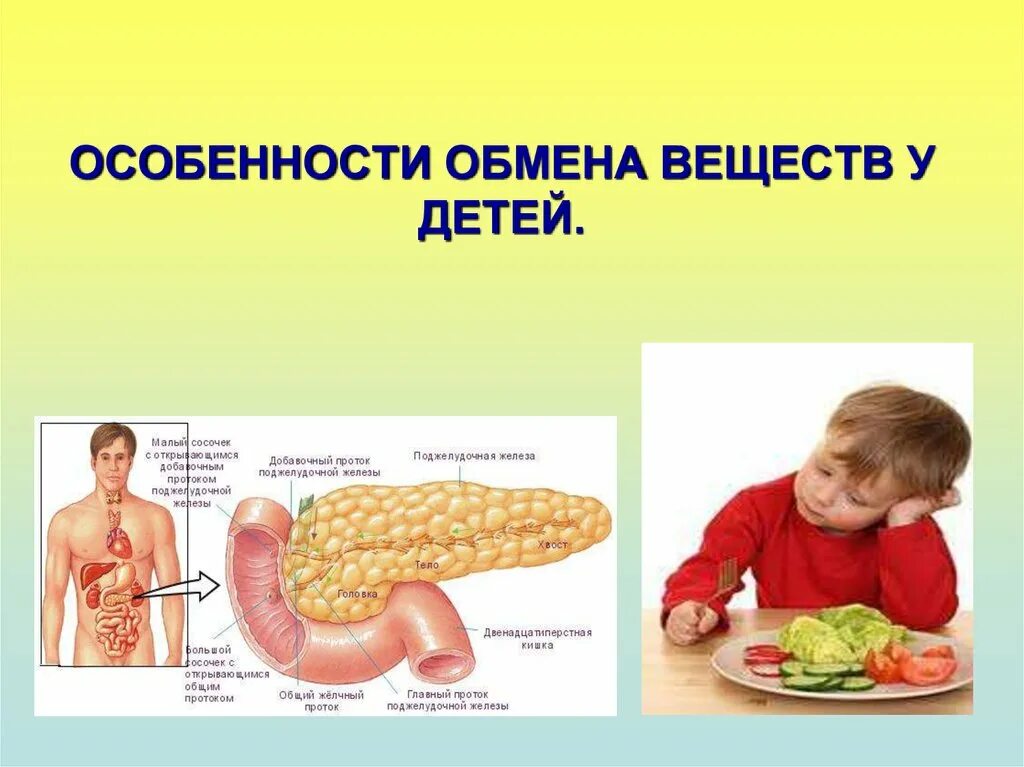 Метаболический синдром осложнения. Метаболизм детей. Особенности водного обмена у детей. Метаболический синдром у детей. Метаболизм и вегетативныеункции это.