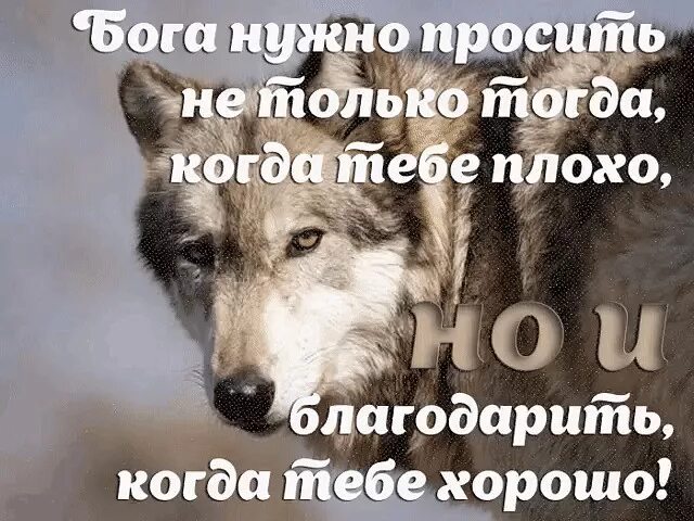 Некогда благодарить. Нужен тогда когда нужен. Ты нужен когда нужен. Человек нужен тогда когда нужен. Когда тебе нужно.