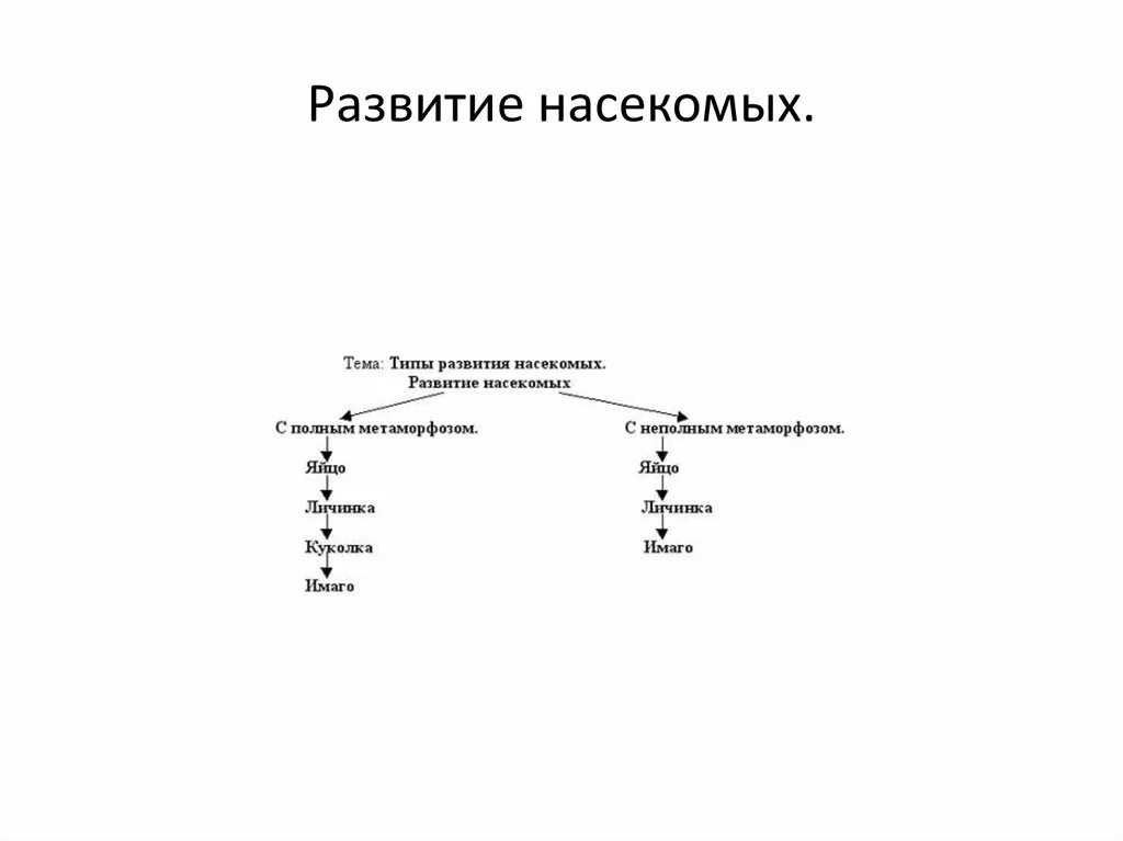 Продление рода органы размножения таблица. Продление рода органы размножения кратко. Таблица 7 кл продление рода органы размножения. Органы размножения, продления рода презентация.