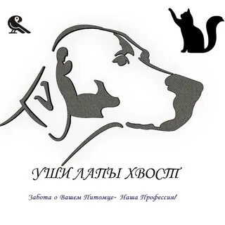 Уши лапы хвост