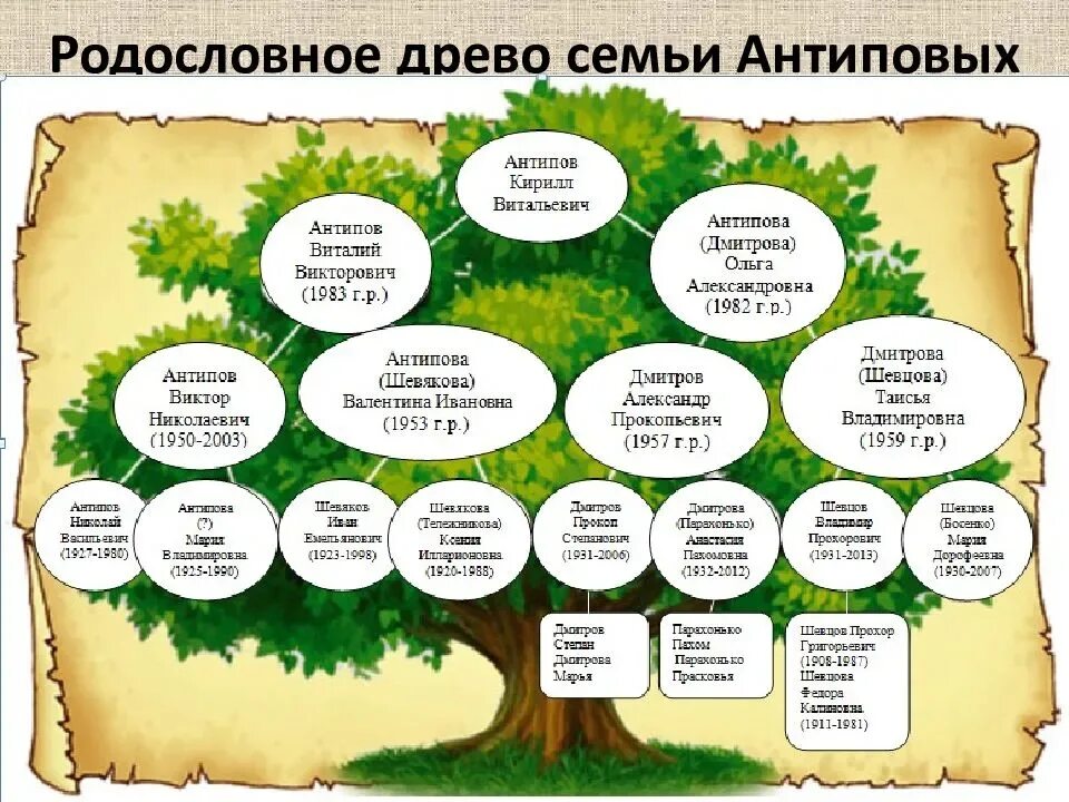 История моей семьи образец. Генеалогическое дерево. Составление генеалогического дерева. Родословная семьи. Составление родословного древа семьи.