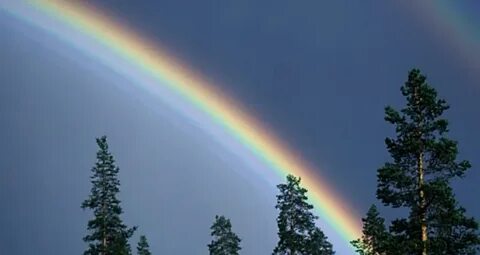 Rainbow shared